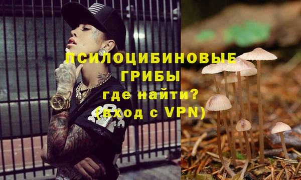 метадон Пересвет