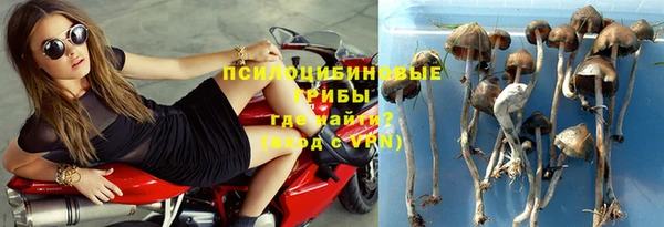 метадон Пересвет