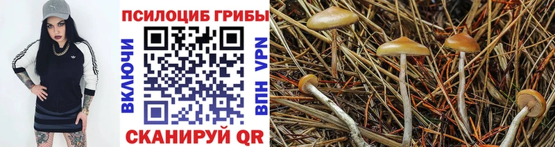 Галлюциногенные грибы ЛСД  Санкт-Петербург 