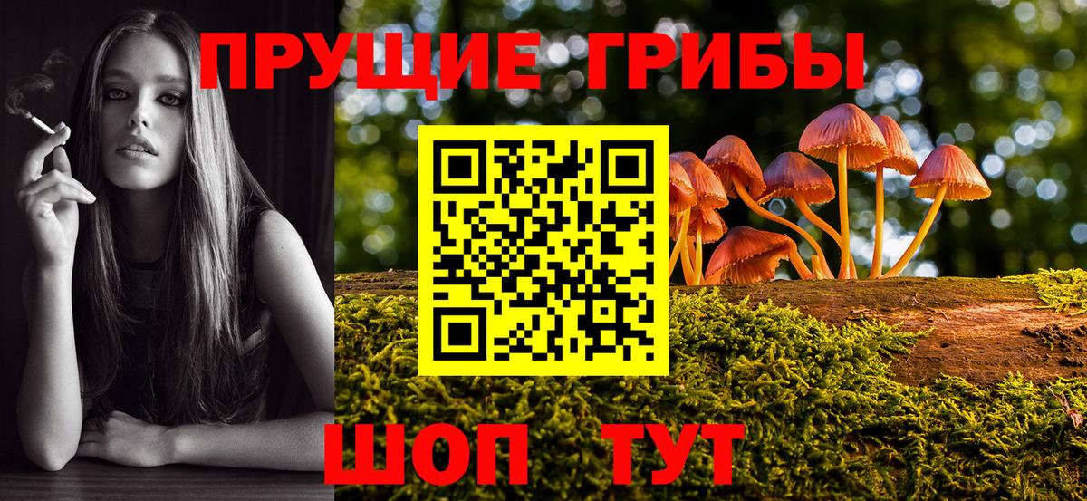 Санкт-Петербург  Псилоцибиновые грибы Cubensis  Вход с VPN 